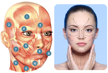AUTO MASAJE FACIAL KOBIDO PARA NOVIAS